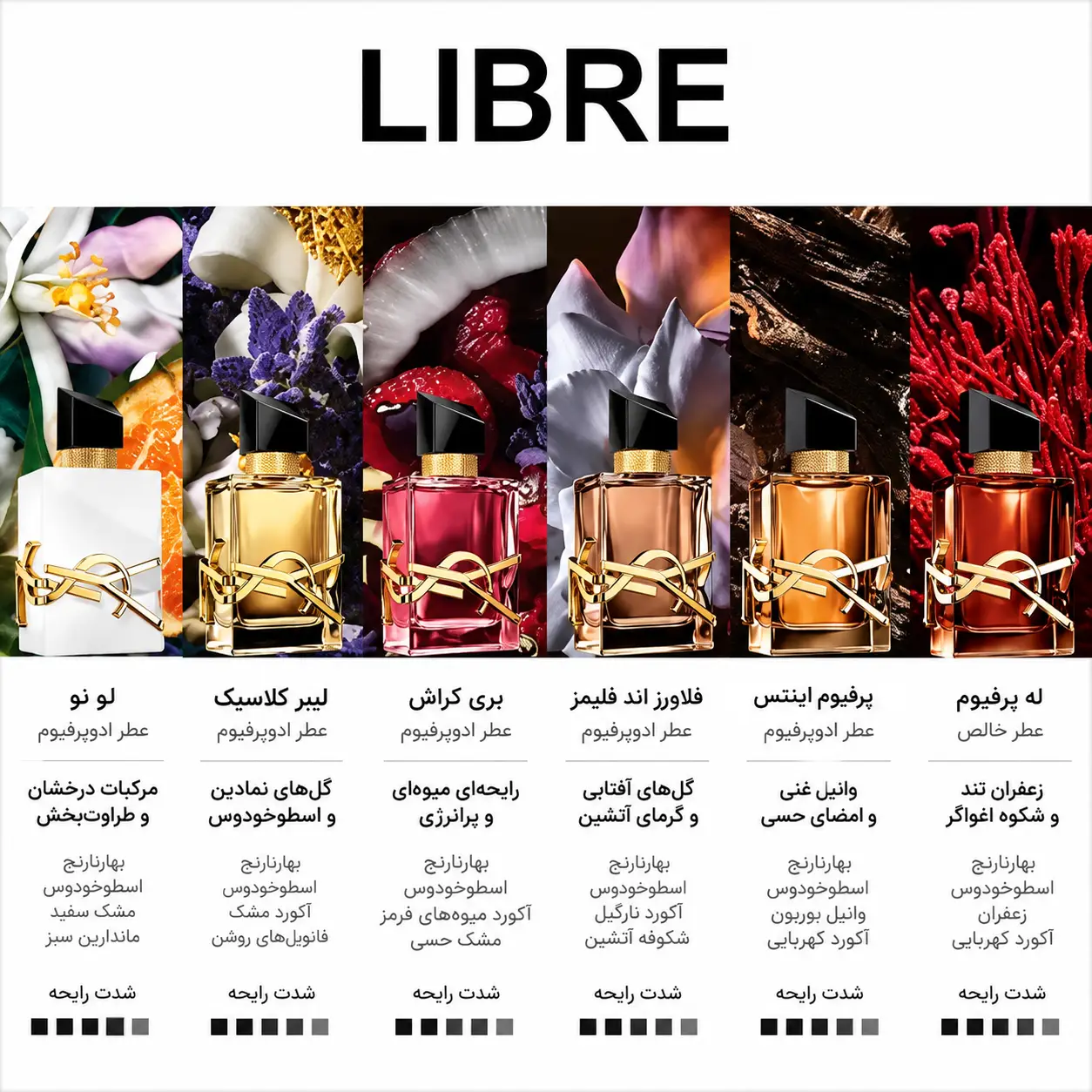 مدل های عطر لیبره